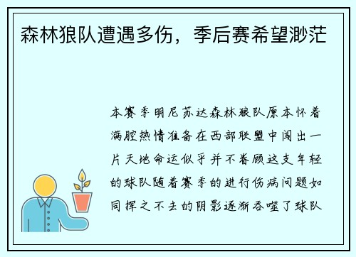 森林狼队遭遇多伤，季后赛希望渺茫
